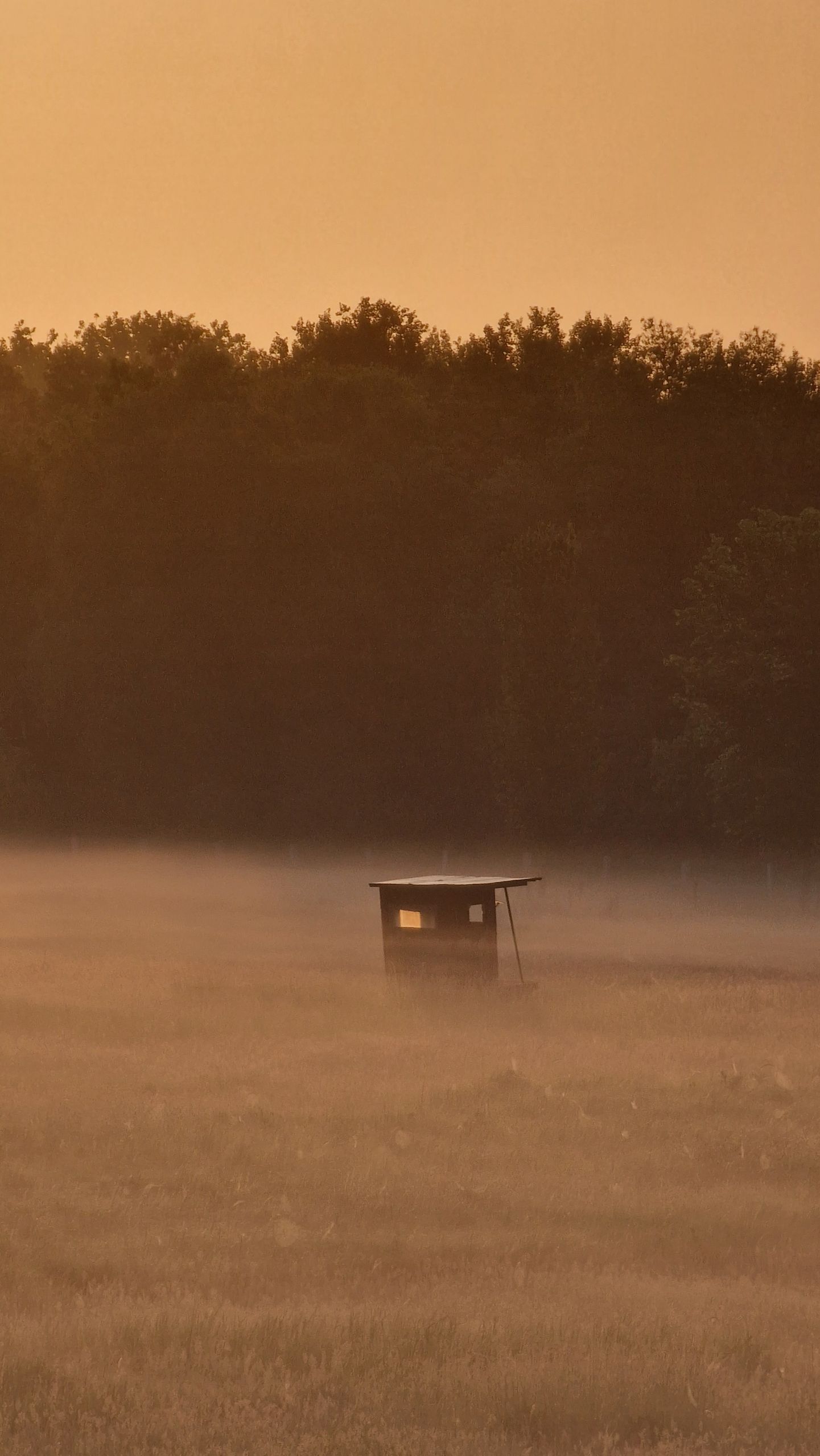 Peaceful evening in the forest with a cabin surrounded by fog and mist at sunset.
